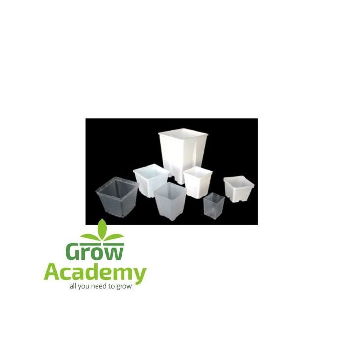 Square Flowerpots Translucent