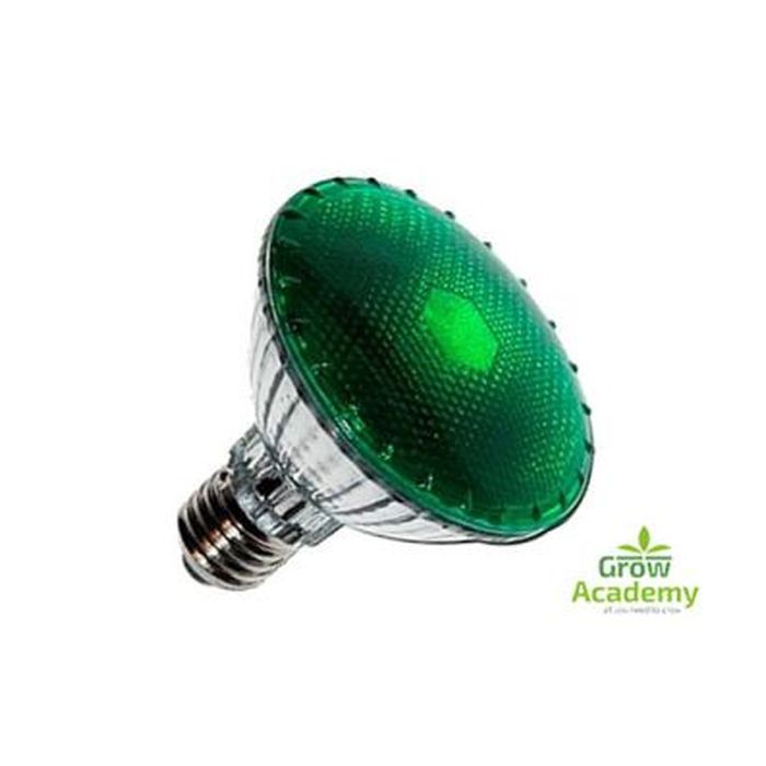 Agrolite Lamp 100W Dark/Night