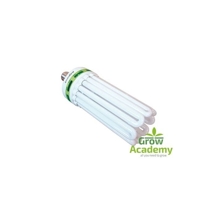 EnviroGro CFL Lamps E40 Series