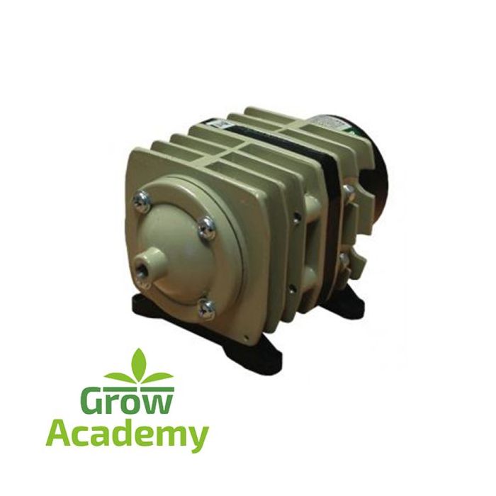 Air Compressor ACO308 6 Way Brass 20W 45lt/min