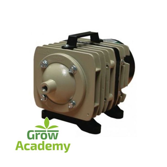 Hailea 60W 4200Lph Air Compressor Aco328 With 8 Wa