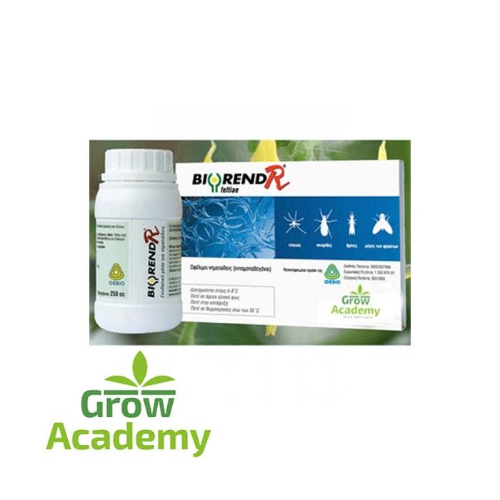Biorend-R Feltiae 250