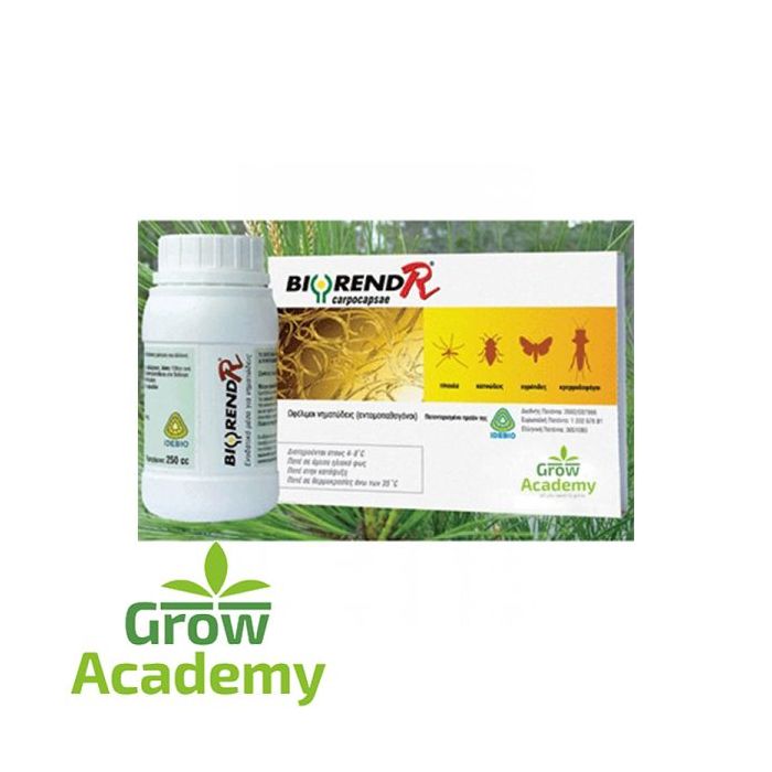 Biorend-R Carpocapsae 50