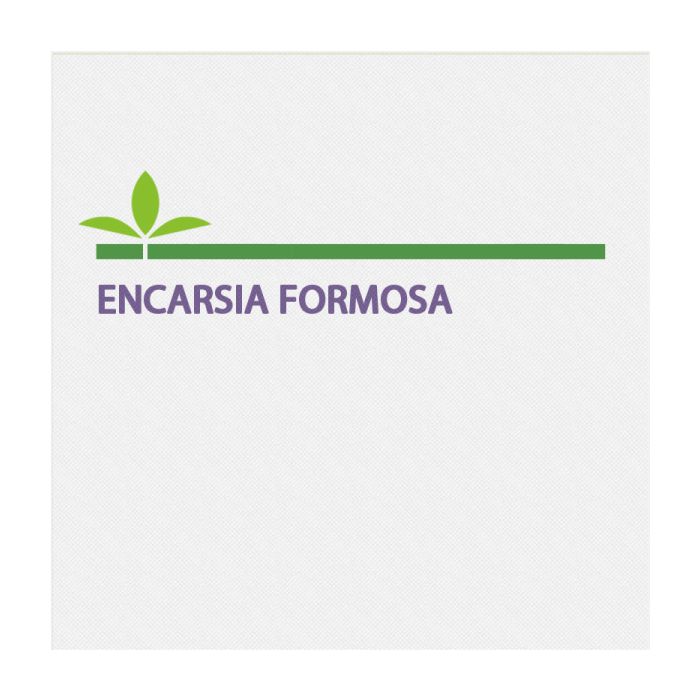 Encarsia Formosa 3000 Πούπες