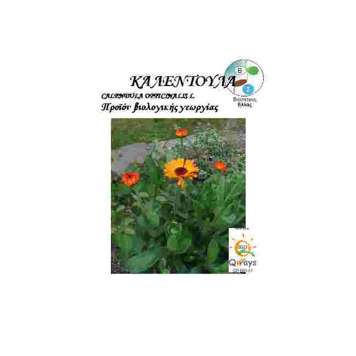Καλεντουλα Calendula Officinalis