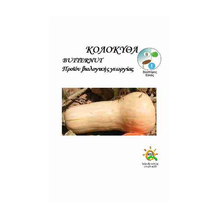 Κολοκυθα Butternut