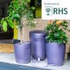 Khloris Watering System-Complete System (Blackberry Colour)-Full Colour Box