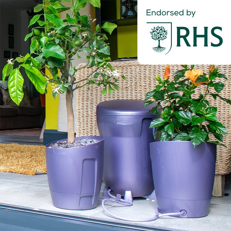 Khloris Watering System