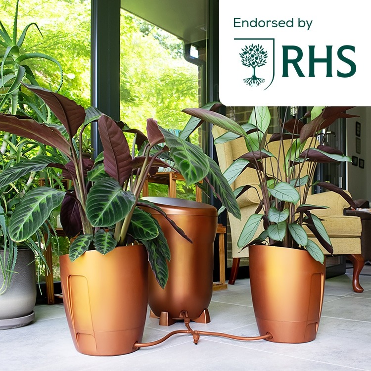 Khloris Watering System-Complete System (Copper Colour)-Full Colour Box