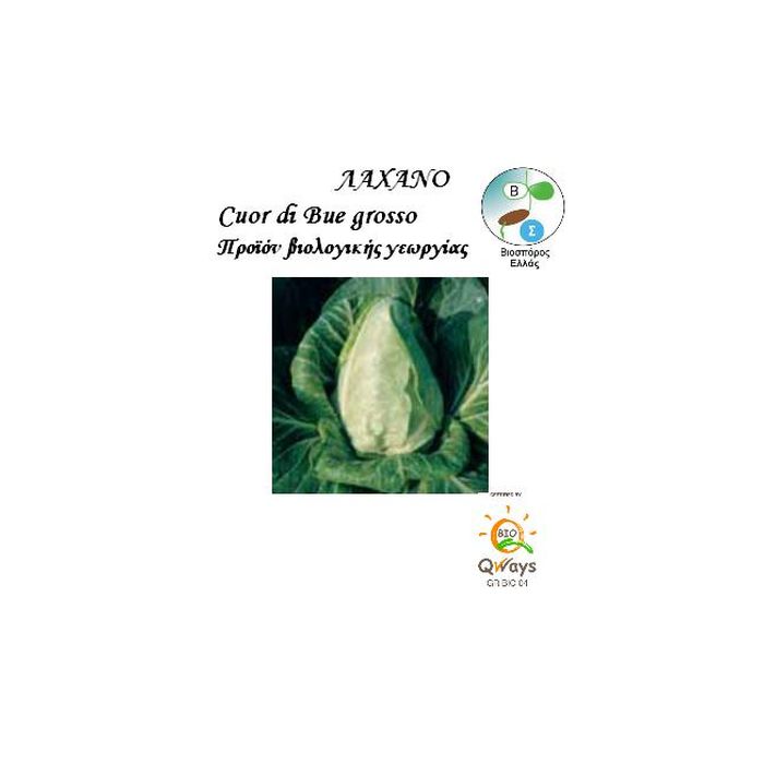 Λαχανο Cuore Di Bue Grosso(0.5gr)