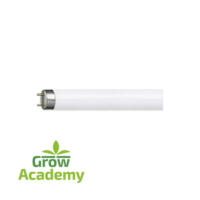 Λαμπτήρας Φθορισμού Τ8 18W/865