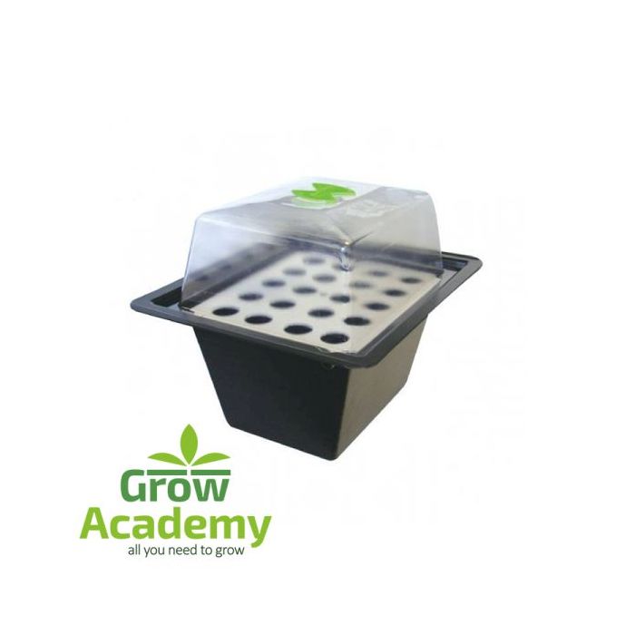20 Plant Propagator