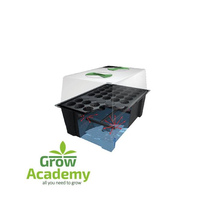 40 Plant Propagator