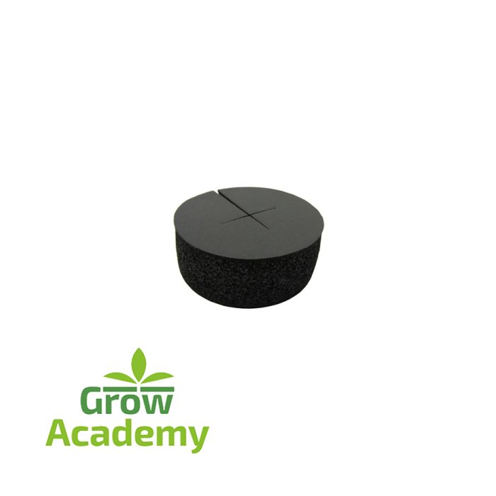 Neoprene Clone Collar 50mm