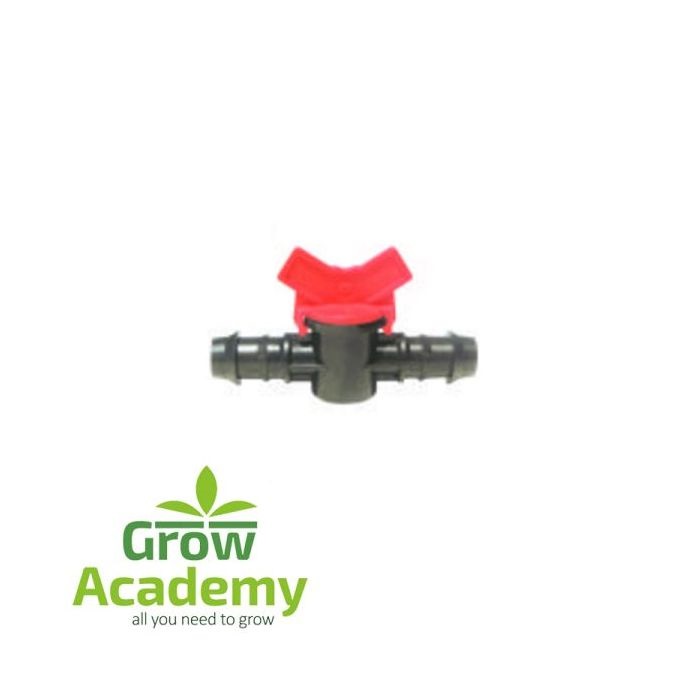 Βανάκια Φις