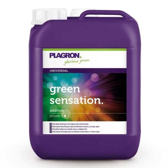 Green Sensation 5lt