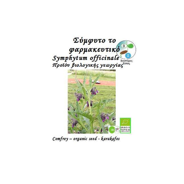 Συμφυτο Symfytum Officinale