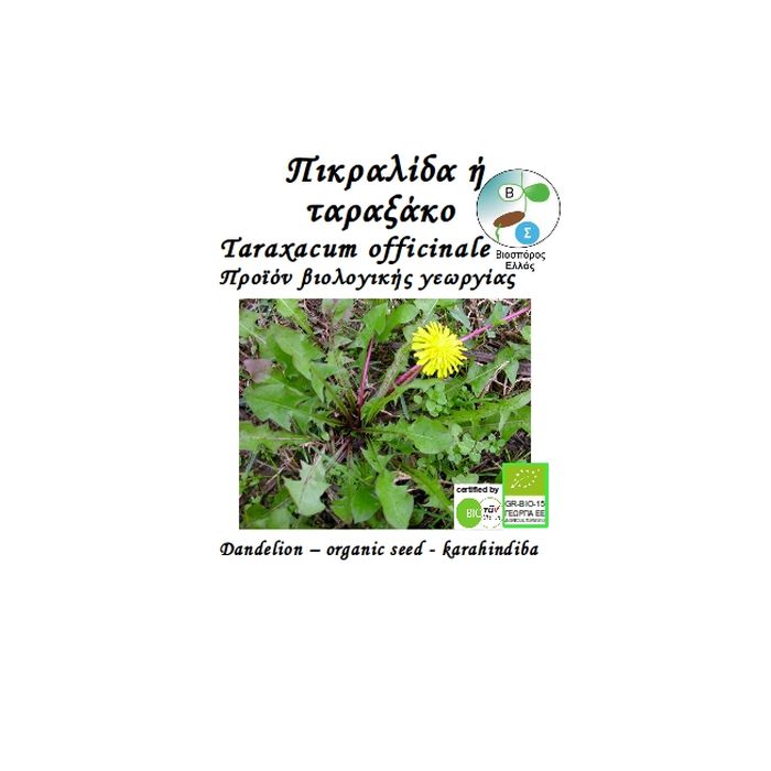 Ταραξακο Taraxacum Officinale